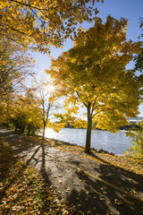 Park in colorful Canadian autumn