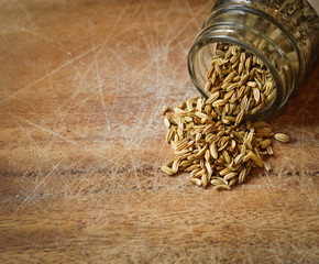 fennel seeds