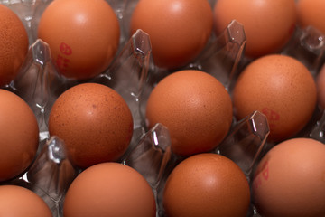 Eggs in a plastic tray