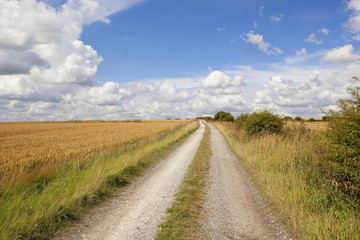 Fototapeta na wymiar limestone track and wheat field
