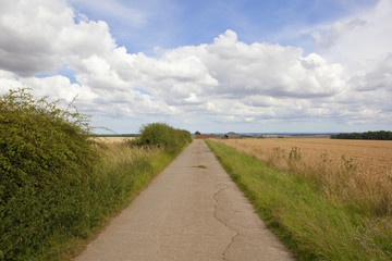 hilltop bridleway