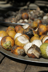 Betel nut