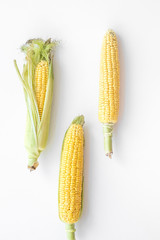 Organic farm food. Corn on cobs on white background top view