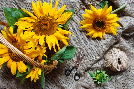Bouquet of sunflower flowers on a background of sackcloth in vintage retro style