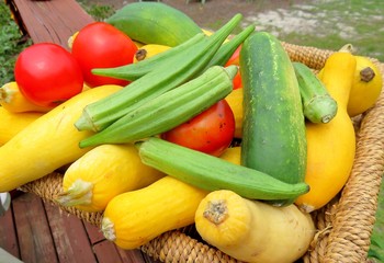 Fototapeta na wymiar Summer vegetables, cucumbers, squash, okra and tomatoes