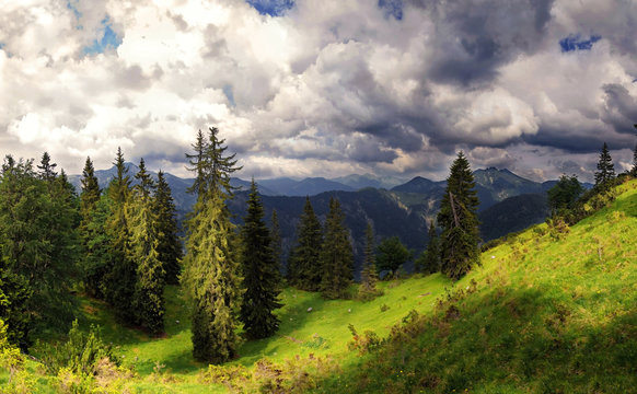 Bergwald