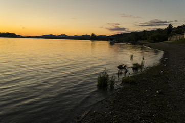 sunset, river view in summer. Colorful landscape summer sunset on the river bank. Sun rays and reflections on water