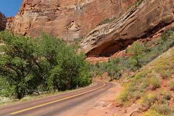 Zion National Park