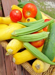 Summer vegetables, cucumbers, squash, okra and tomatoes
