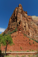 Fototapeta premium Zion National Park