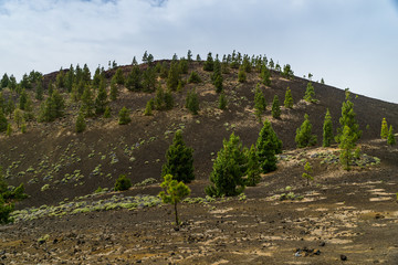 Nationalpark El Teide, Teneriffa, 2017