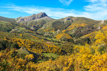 Mountain Palentina. Spain