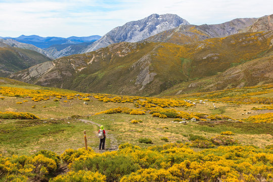 Mountain Palentina. Spain.The Lomas valley and Espiguete peak.