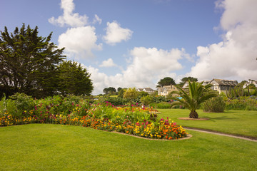 Flowers in a garden in Cornwall at summertime