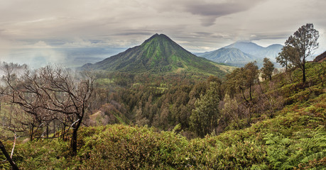 Fototapeta premium Panoramic view of the volcano and wooded hills, Indonesia