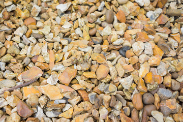 Stone beach in Cornwall at summertime