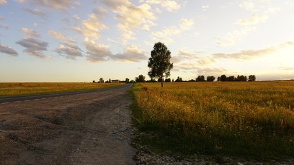 Fototapeta premium Road 