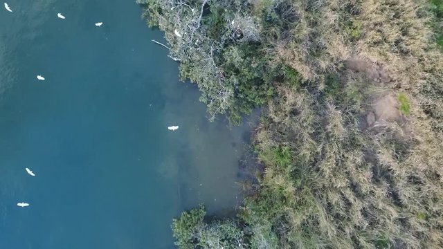 P&aacute;ssaros voando sobre as &aacute;guas do Rio Parana&iacute;ba, divisa entre Goi&aacute;s e Minas Gerais 