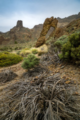 Nationalpark El Teide, Teneriffa, 2017