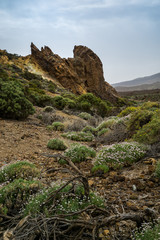 Nationalpark El Teide, Teneriffa, 2017