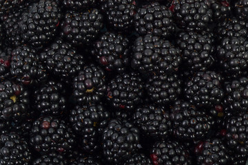 Background of ripe blackberry berries close-up