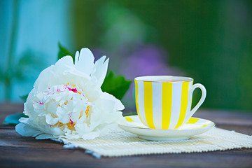 porcelainl cup with green tea on table