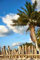 Isla Mujeres Beach Mexico / Peaceful North Beach with palm trees