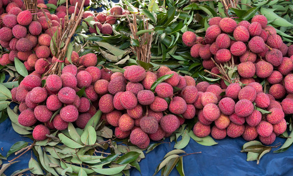 Fresh lychee fruit at market thailand in southeastasia.