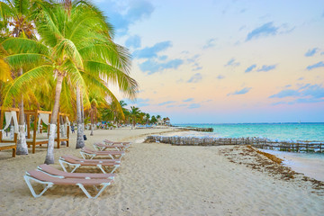Isla Mujeres Beach Mexico / Peaceful North Beach with palm trees