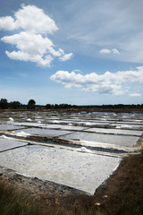 Salt field Philippines