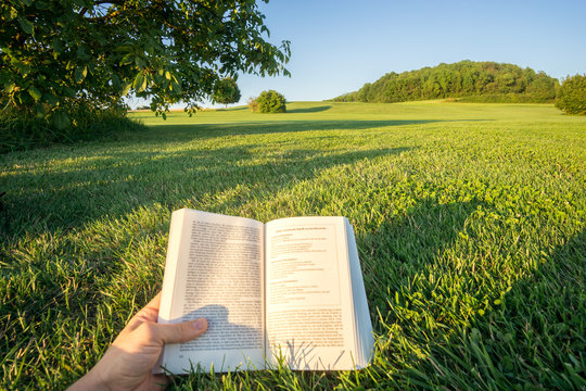 Reading a book in a Park in the nature, point-of-view-shot. In Bavaria, Germany.
