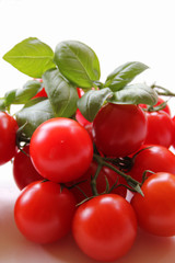 Tomaten und Basilikum