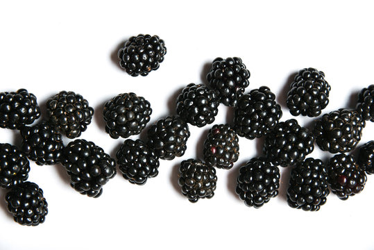 Tasty blackberry on white background