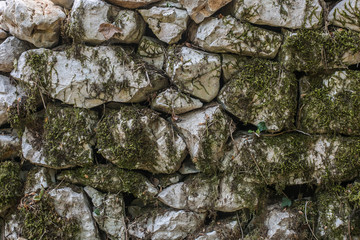 Old stone texture with moss