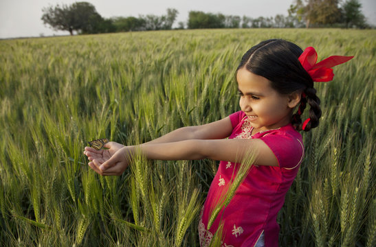 Small girl with hands cupped standing in wheat field 