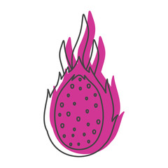 Dragon fruit in doodle style icons vector illustration for design and web isolated on white