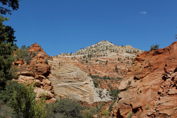 Fototapeta premium Zion National Park