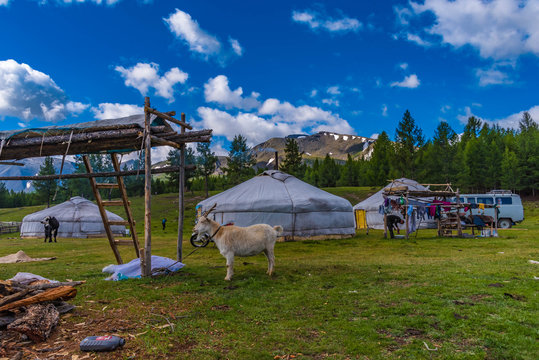 Ger Jurten Camp Nomaden Mongolei