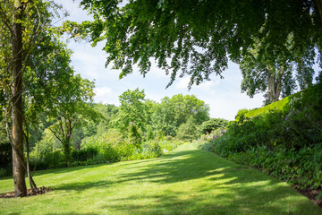 Fototapeta na wymiar A garden on Northampton-shire 