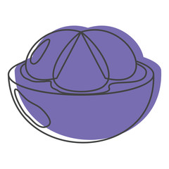 Mangosteen in doodle style icons vector illustration for design and web isolated on white