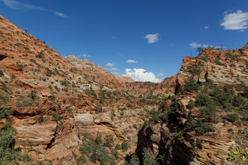 Zion National Park