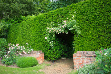 A garden on Northampton-shire   