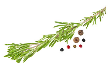 Fresh organic rosemary and peppercorns on a white background