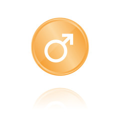 Männlich Bronze Münze mit Reflektion