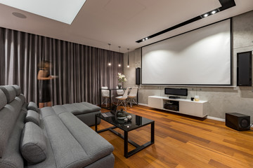Living room with projector screen