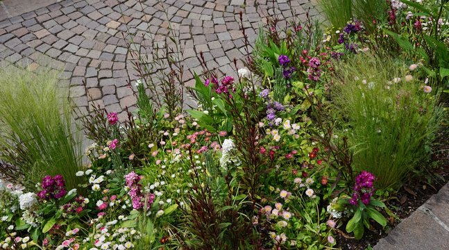 Buntes Blumenbeet mit verschieden-farbigen Bl&uuml;ten - Wildgarten 