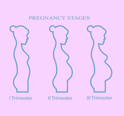 Pregnancy stages, trimester, pregnant woman  on pink background