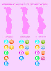 vitamins and minerals for pregnant women.vector illustration