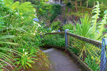 Stairs from a tropical garden in Cornwall