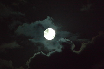 Fototapeta premium Luna llena